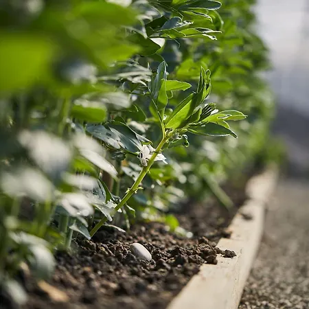 Ca' Matilde Gospodarstwo wiejskie