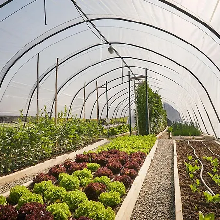 Ca' Matilde 컨트리하우스