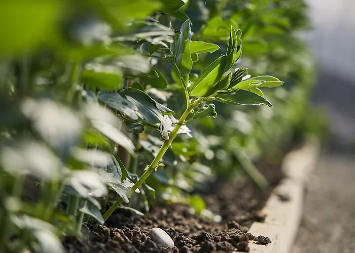 Ca' Matilde 컨트리하우스