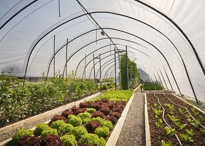 Ca' Matilde 컨트리하우스